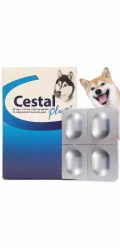 Ceva CESTAL PLUS PRO PSY BLISTR 8 tablet K ODČERVOVÁNÍ