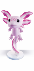 Lisciani Lisciani Deštivé dny AXOLOTL