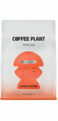 Coffee Plant Kávová rostlina Uganda Butawa 250 g kávových zrn