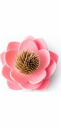 Qualy Držák na párátka Lotus růžový 10156-WH-PK