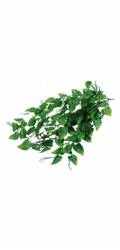 Lucky Reptile Jungle Plants