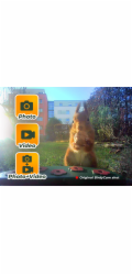 Easypix BirdyCam
