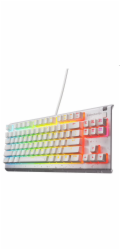 SteelSeries Apex 3 TKL US