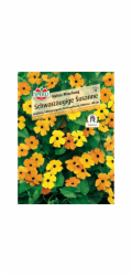 Sperli Black-eyed Susan "Orange with Eye" Thunbergia alata