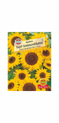 Sperli květináčová slunečnice "Big Smile" Yellow Helianthus