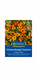 Kiepenkerl Black-eyed Susan "Oranžová s okem" Oranžová