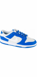 Nike Dunk Low FN3416-001 šedá 40