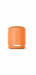 SONY SRS-XB100H