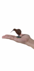 Mojo Novozélandské kiwi