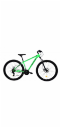 Horské jízdní kolo Capriolo OXYGEN 29"/16" zelená
