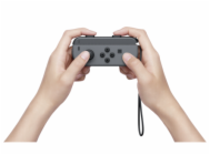 Nintendo Joy-Con-Handgelenkschlaufe, Halterung