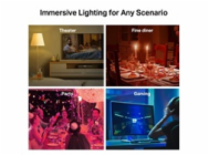 4242066 4242066