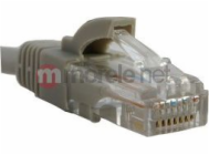 5002395