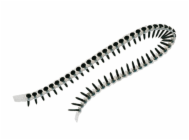 5996316