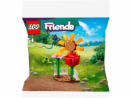 7037672
