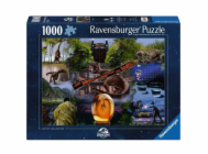 7055273