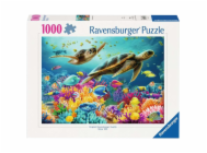 7055616