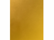7276806
