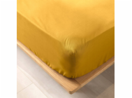 7593504