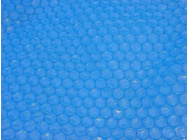 7697976